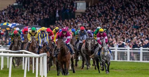 irish grand national odds60